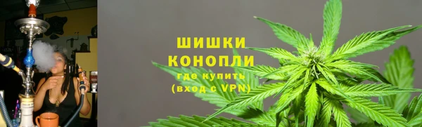 прущие грибы Алзамай