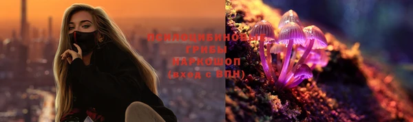 спиды Аркадак
