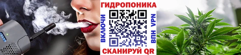 Бошки марихуана семена  ОМГ ОМГ вход  Завитинск  наркота 